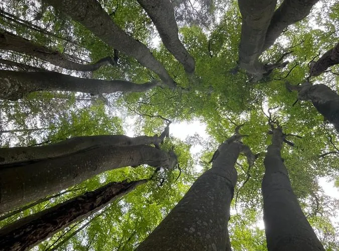 Lägenhet Dom W Trawach *